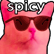 BitSpicy.png